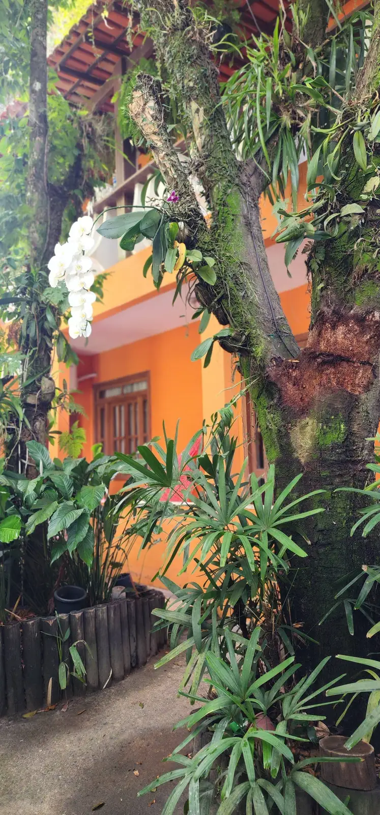 Fachada laranja da hospedagem em Trancoso BA cercada por folhagens e orquídeas